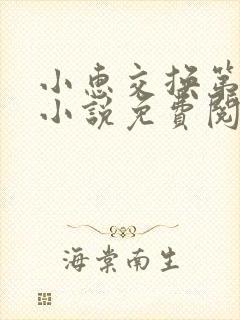 小惠交换第二部小说免费阅读
