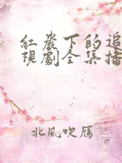 红岩下的追捕电视剧全集播放