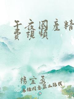 午夜国产精品免费视频