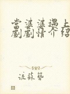 当婆婆遇上的妈剧剧情介绍