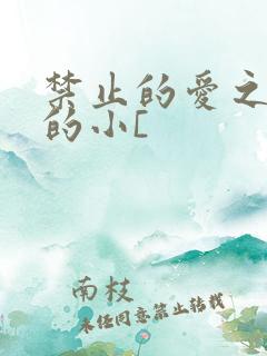 禁止的爱之善良的小[