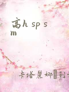高h sp sm