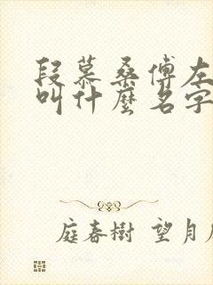 段慕桑傅左小说叫什么名字