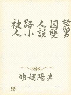 被路人囚禁的美人小说双男主