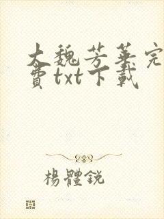 大魏芳华完整免费txt下载
