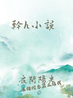 干h小说