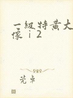 一级特黄大片录像ⅰ2