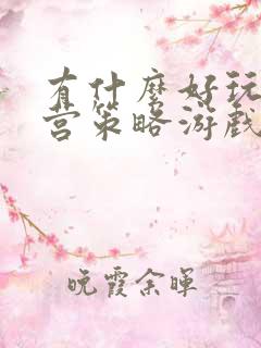 有什么好玩的经营策略游戏?