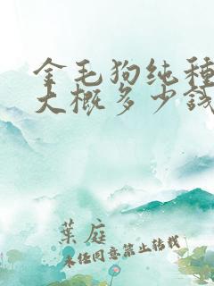 金毛狗纯种一只大概多少钱