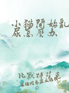 小猫开始乱拉乱尿怎么办