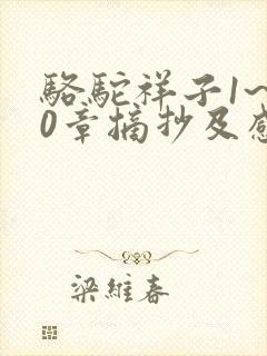 骆驼祥子1~10章摘抄及感悟