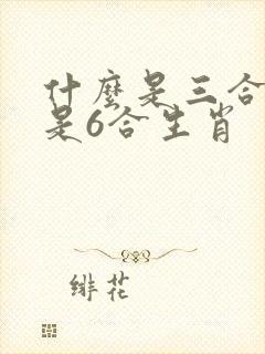 什么是三合什么是6合生肖 什么是三合什么是6合生肖
