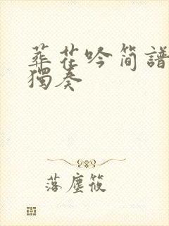 葬花吟简谱笛子独奏