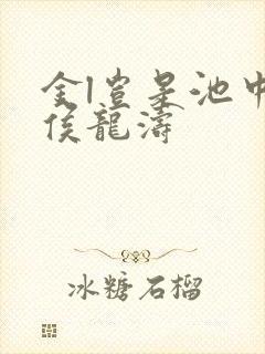 金l岂是池中物侯龙涛