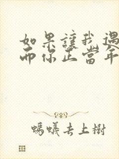 如果让我遇见你而你正当年轻