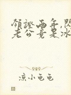 领证两年,闪婚老公竟是冰山上司