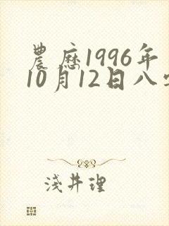 农历1996年10月12日八字
