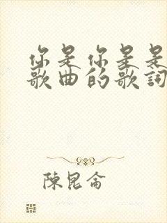 你是你是是什么歌曲的歌词