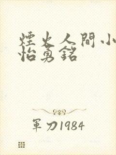 烟火人间小说雪怡勇铭