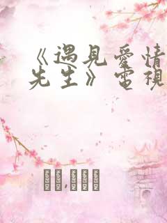 《遇见爱情的利先生》电视剧 《遇见爱情的利先生》电视剧