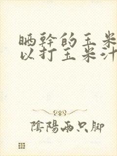 晒干的玉米粒可以打玉米汁吗