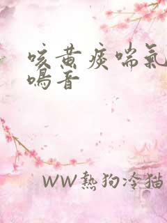 咳黄痰喘气有痰鸣音 咳黄痰喘气有痰鸣音