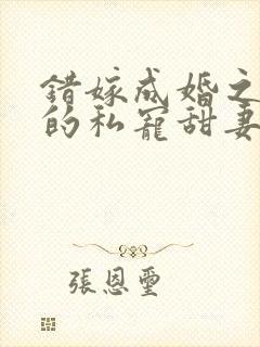 错嫁成婚之总裁的私宠甜妻全文阅读 错嫁成婚之总裁的私宠甜妻全文阅读