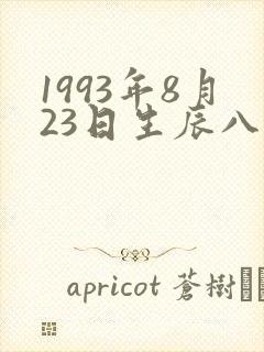 1993年8月23日生辰八字