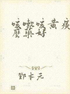 咳嗽咳黄痰用什么药好