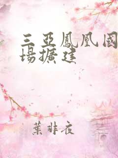 三亚凤凰国际机场扩建 三亚凤凰国际机场扩建