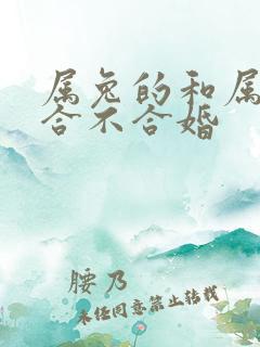 属兔的和属鼠的合不合婚