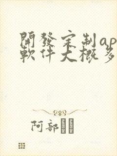 开发定制app软件大概多少钱 开发定制app软件大概多少钱