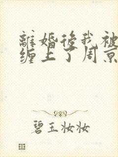 离婚后我被前夫缠上了周京淮叶妩免费阅读