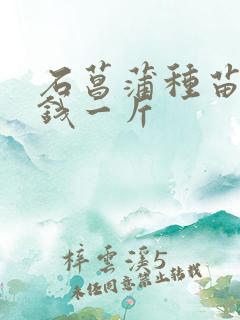 石菖蒲种苗多少钱一斤