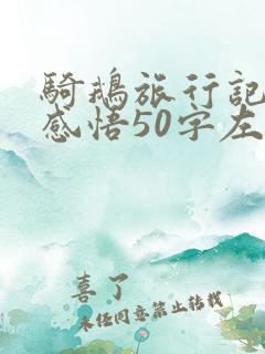 骑鹅旅行记读后感悟50字左右