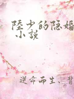 陆少的隐婚罪妻 小说