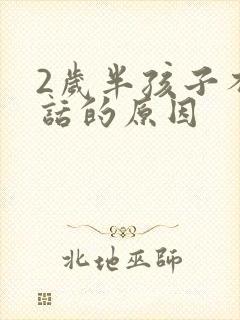 2岁半孩子不说话的原因