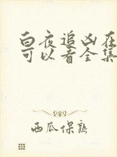 白夜追凶在哪儿可以看全集