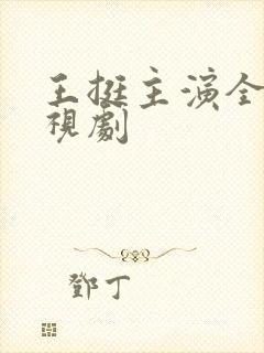 王挺主演全部电视剧