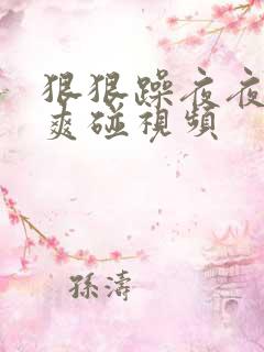 狠狠躁夜夜躁人爽碰视频