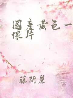 国产黄色一级录像片