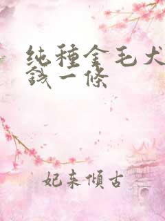 纯种金毛犬多少钱一条