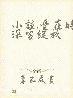 小说,爱在时光深处绽放