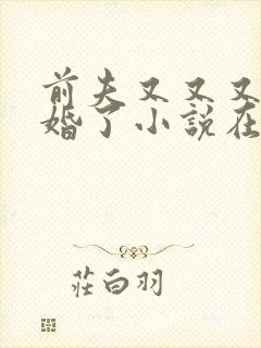 前夫又又又想复婚了小说在线阅读