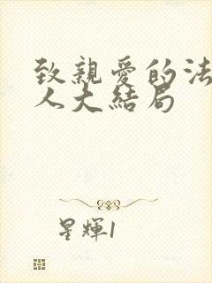 致亲爱的法官大人大结局 致亲爱的法官大人大结局