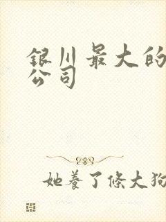 银川最大的租车公司