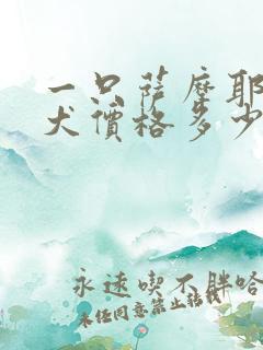 一只萨摩耶犬幼犬价格多少钱
