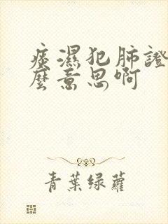 痰湿犯肺证是什么意思啊