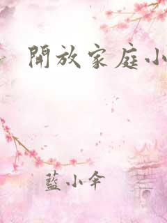 开放家庭小说