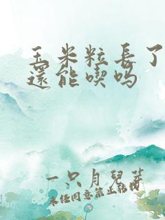 玉米粒长了嫩芽还能吃吗